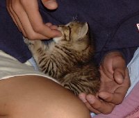 この指おいしいかな?