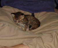 ちょっと一休み