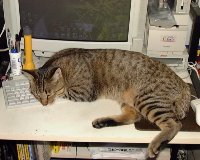 �p�\�R���H������H