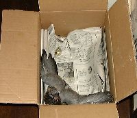 手狭になった箱